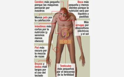 El hombre del futuro: cerebro pequeño, brazos largos y pocos dientes