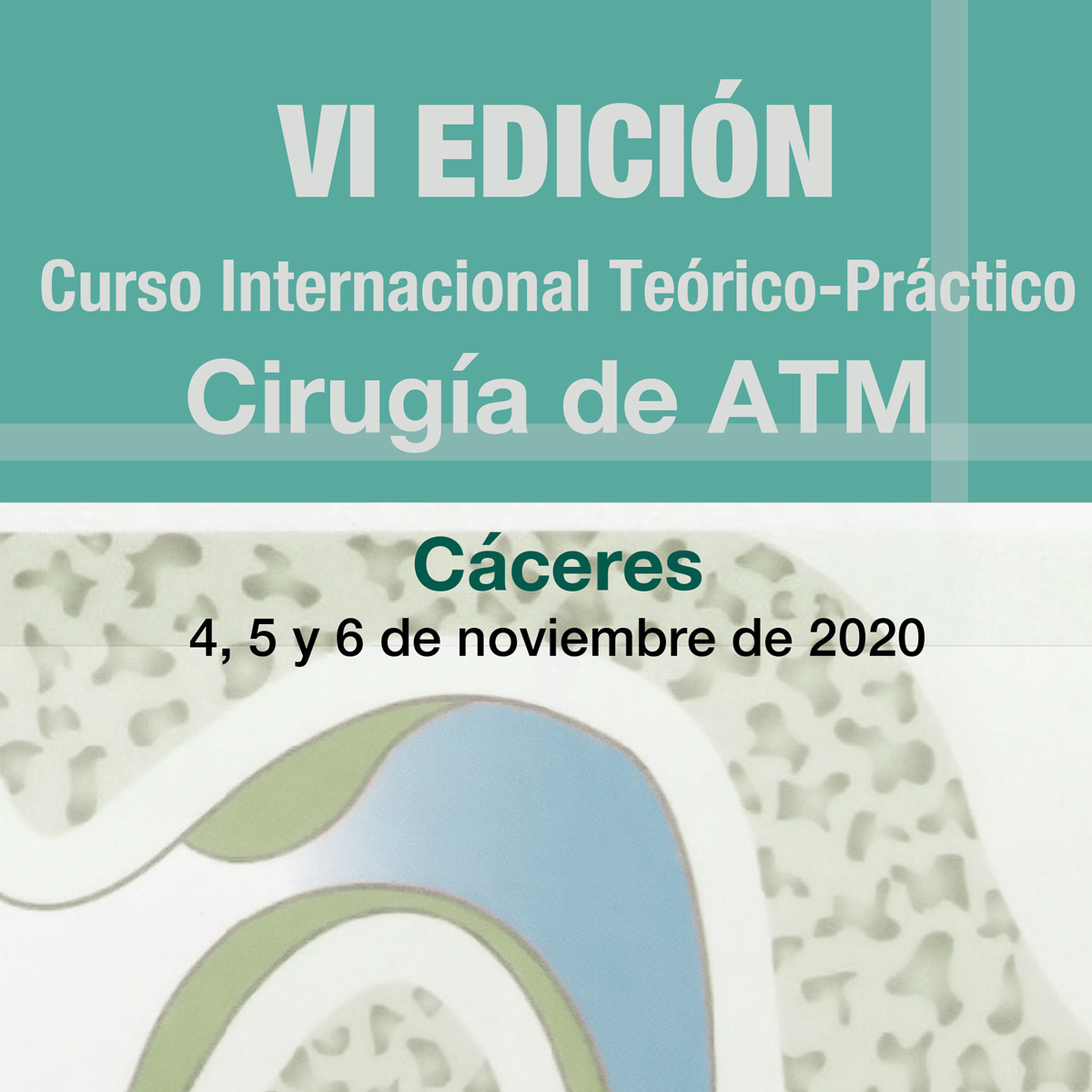 IV Edición Curso Internacional Teórico-Práctico Cirugía ATM